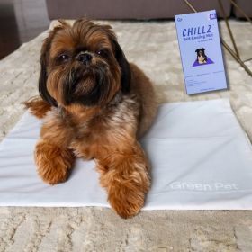 Chillz Gel Mat Cover (Color: Cloud, size: large)