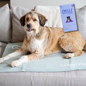 Chillz Gel Mat Cover (Color: Sage, size: medium)